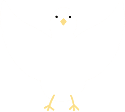 흰비둘기
