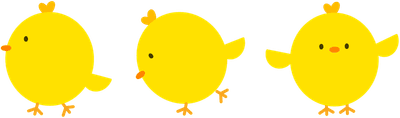 병아리