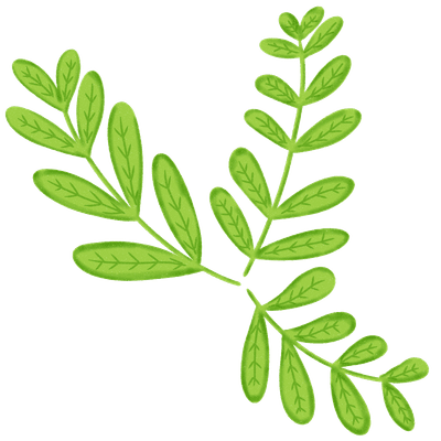 Green Leafy Branch Illustration