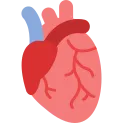 Heart Icon