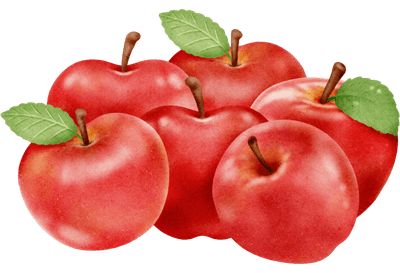 Red Apple Watercolor style illustration
