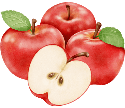Red Apple Watercolor style illustration