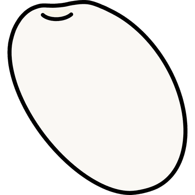 쌀