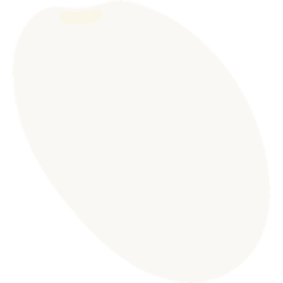쌀