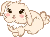 Cute Bunny Rabbit