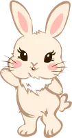 Cute Bunny Rabbit