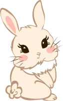 Cute Bunny Rabbit