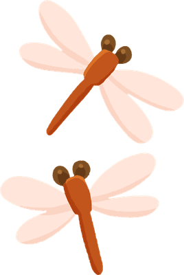 잠자리 