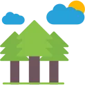 Landscape Icon