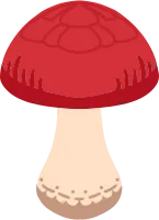 버섯
