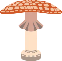 버섯