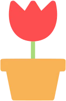 튤립 화분
