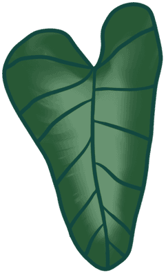 Leaf
