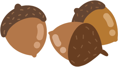 도토리