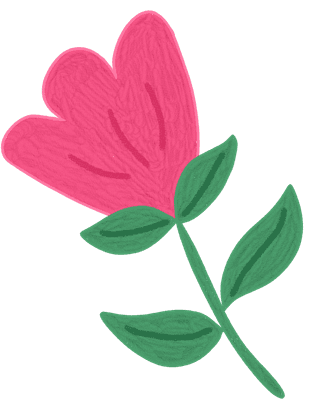 Pink Tulip Illustration
