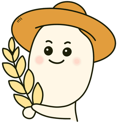 쌀