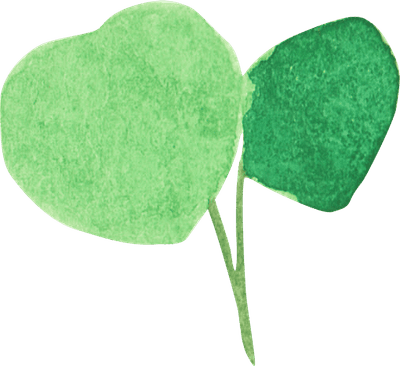 A simple watercolor illustration of a plant stem with two broad, connected leaves