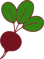 radish 무 뿌리 채소 야채 자연 식품