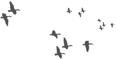 2508092