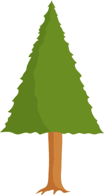 Pine Tree Icon
