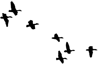 2508081