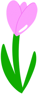 튤립 꽃
