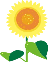 向日葵の花