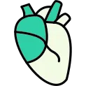 Heart icon