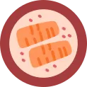 Salmon Icon