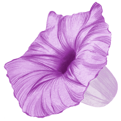 Bairabad Flower