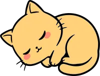 Cute orange cat