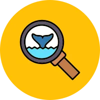 Whale Watching icon