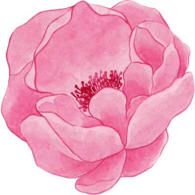 Watercolor Flowers Blossom Illustration