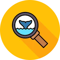 Whale Watching icon