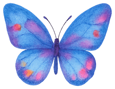 butterfly