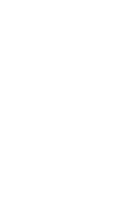 집