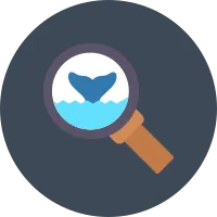 Whale Watching icon