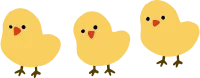병아리들