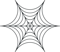 Spider Web