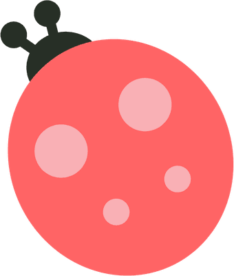 무당벌레