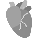 Heart icon