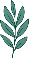 Leaf Ornament Vector Element Green Leaf Illustration