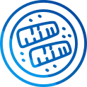 Salmon Icon