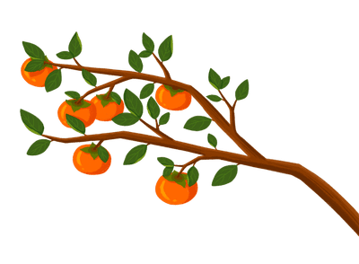 Persimmon Tree Branch Thin