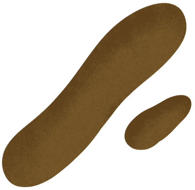 긴똥