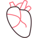 Heart icon