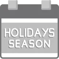 Holiday Season Icon