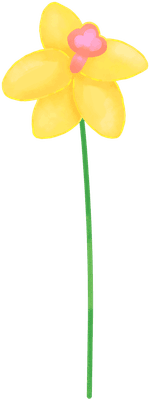 Birth Month March Daffodil Flower