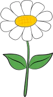 White daisy flower with leaves and stem Svg