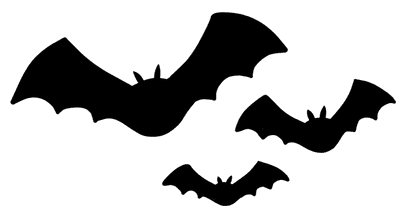 Bat